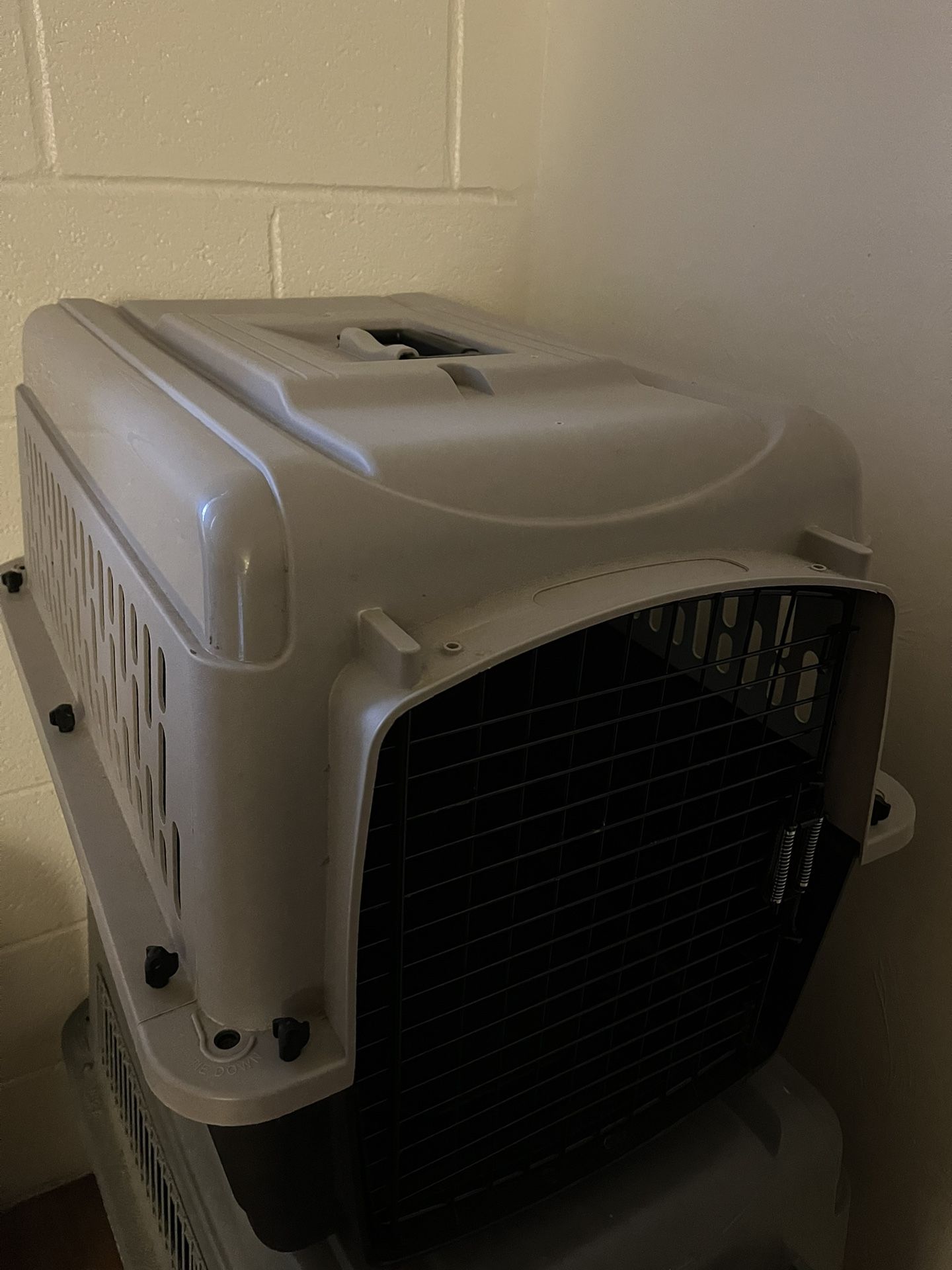 Medium Sized Dog Kennel