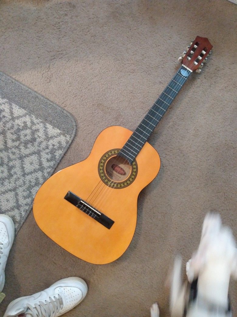 Stag Guitar New