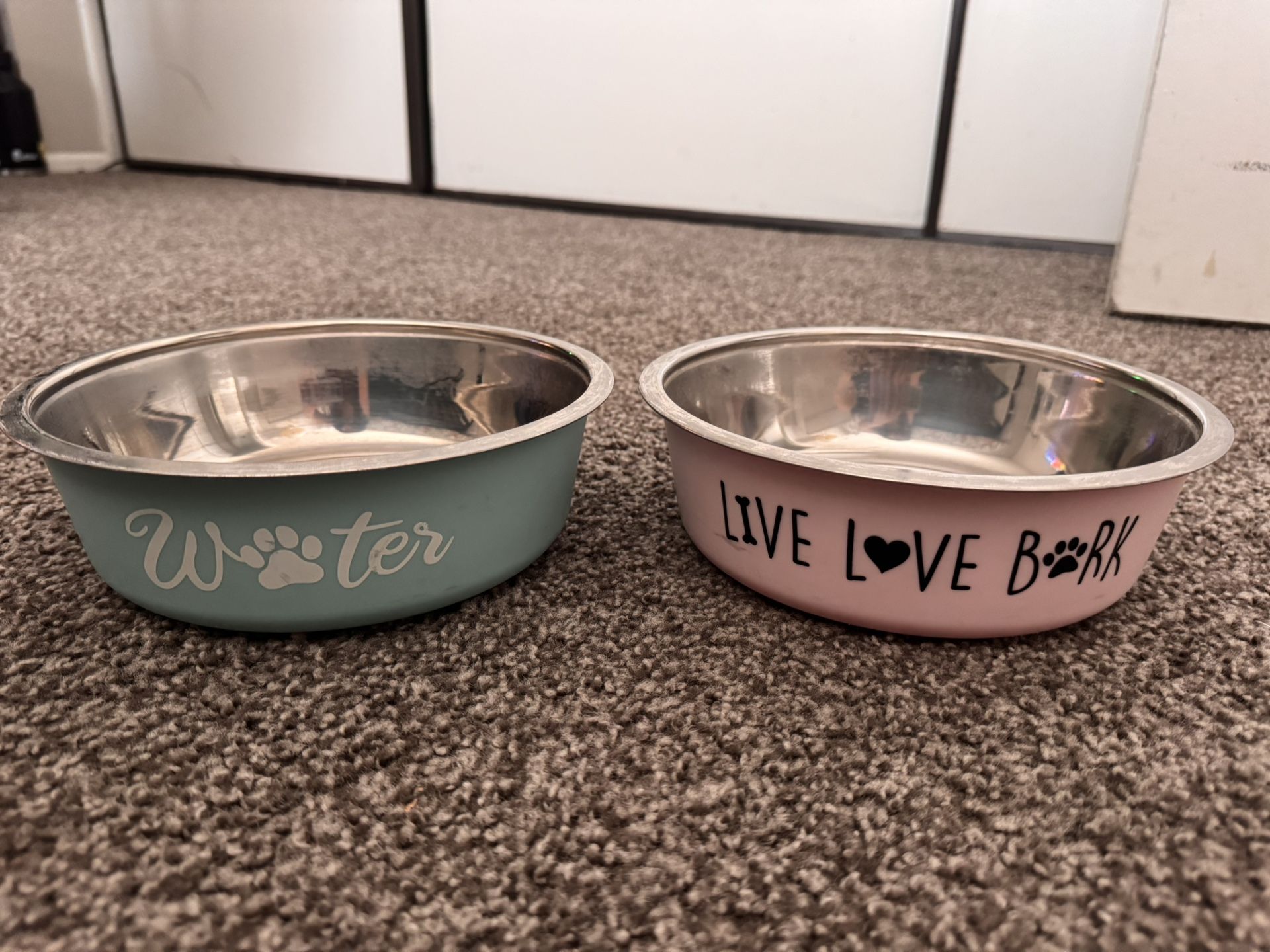 Dog Bowls