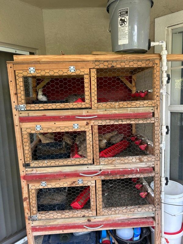 Quail Cage /birds  Outdoors Funiture 