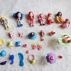 VTG 2008 Strawberry Shortcake Doll &  Accessories Bundle