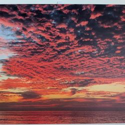 16x20 Sunset Cliffs Canvas Print - Local San Diego Photograph 