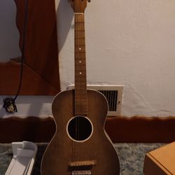 Vintage Parrot Guitar