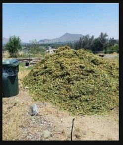 Woodchips