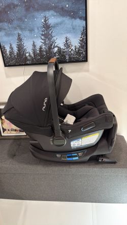 Nuna car seat