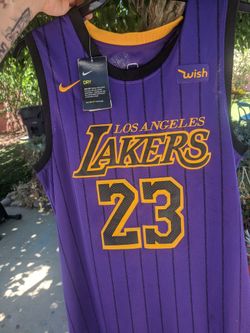 Lakers Lebron James shoes And jersey