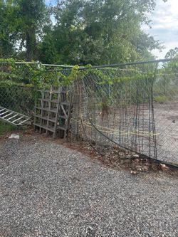 Garden trellises and tomato cages