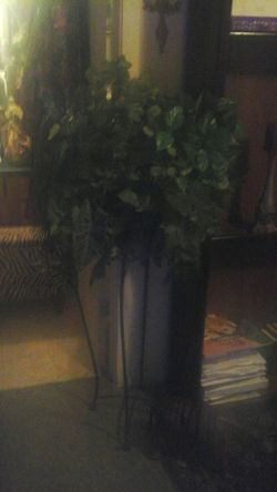 Large plantand plant stand