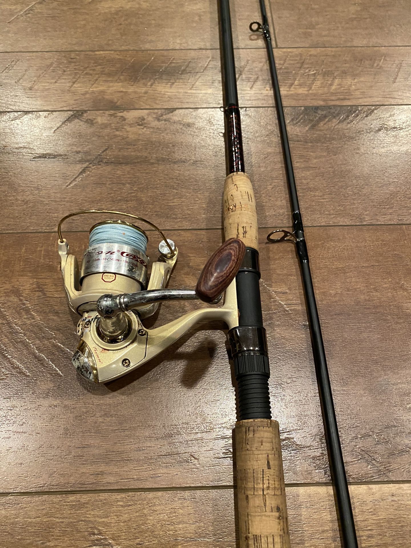 Ugly Stik Elite Fishing Rod and Pflueger Trion Reel