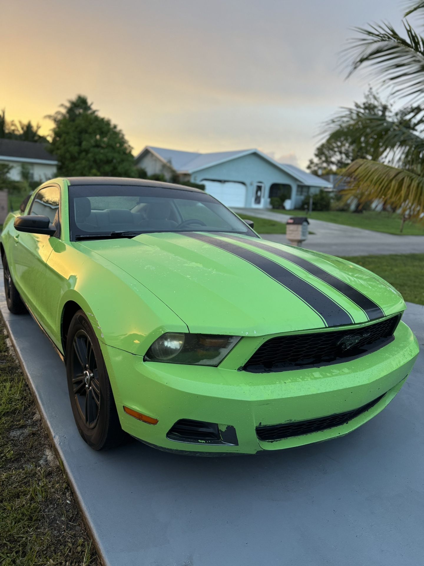 2010 Ford Mustang