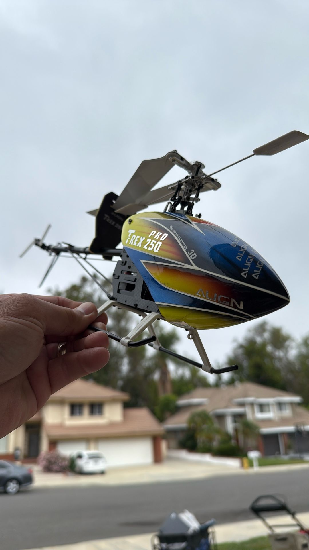 Trex 250 Pro RTF