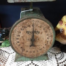 Vintage Way Rite Kitchen Scale- Located In Shelton 