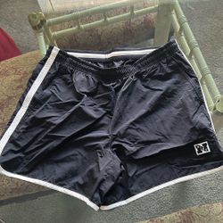 Nike Dry Fit Shorts