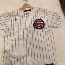 Pinstripe Cubs Jersey- Very Rare- MENS SMALL / KIDS XL