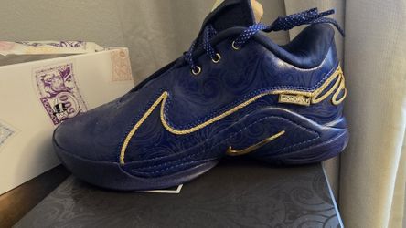 Nike Zoom LeBron 22 Token Size 8
