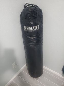 Punching bag and gloves