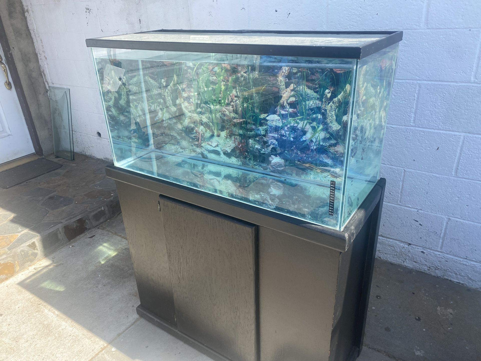 40 Gallon Fish Tank 