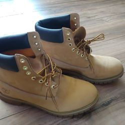 Timberland 11.5