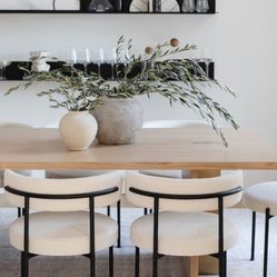 6 Dining Chairs 