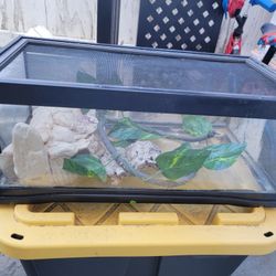 Reptile Tank With Extras  75$