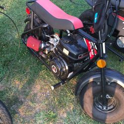 Trail Master Storm 200