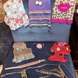 Assorted Mini Dog Accessories
