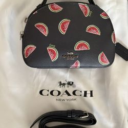 COACH Watermelon Purse