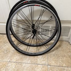 Rims For Bike