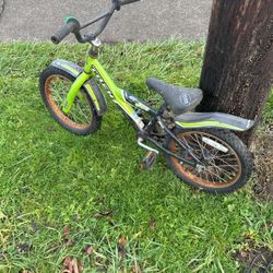 Trek Kids Bicycle 