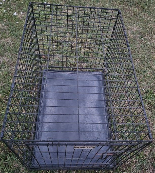 PETCO Dog Crate