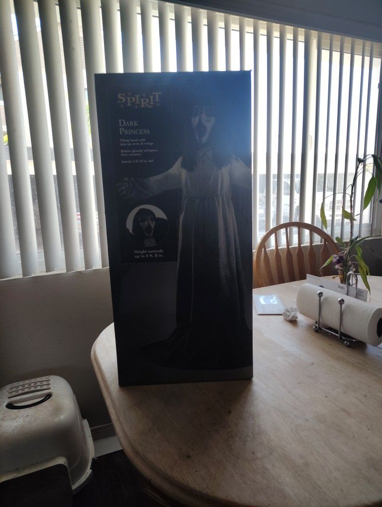 Spirit Halloween Dark Princess