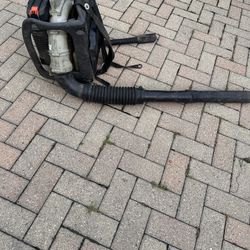 Echo Leaf Blower