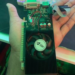 GT 730 4gb 128bit 