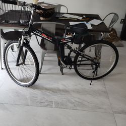 Folding bike