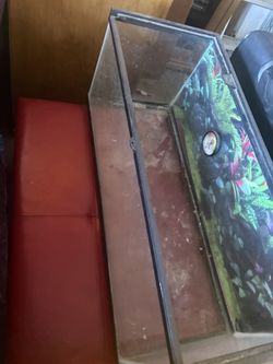 Reptile Tank