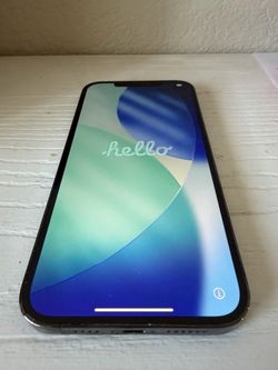 iPhone 12 Pro Max  256gb