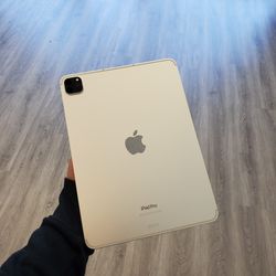 Apple IPad Pro 4th Gen - $1 Today Only