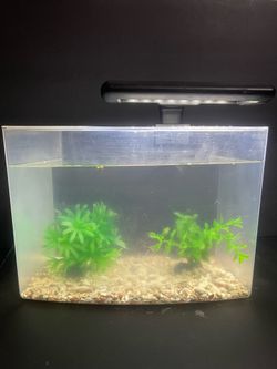 Fish tank