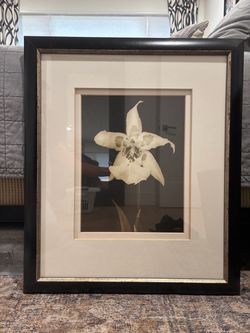 Framed Orchid Botanical Art Print