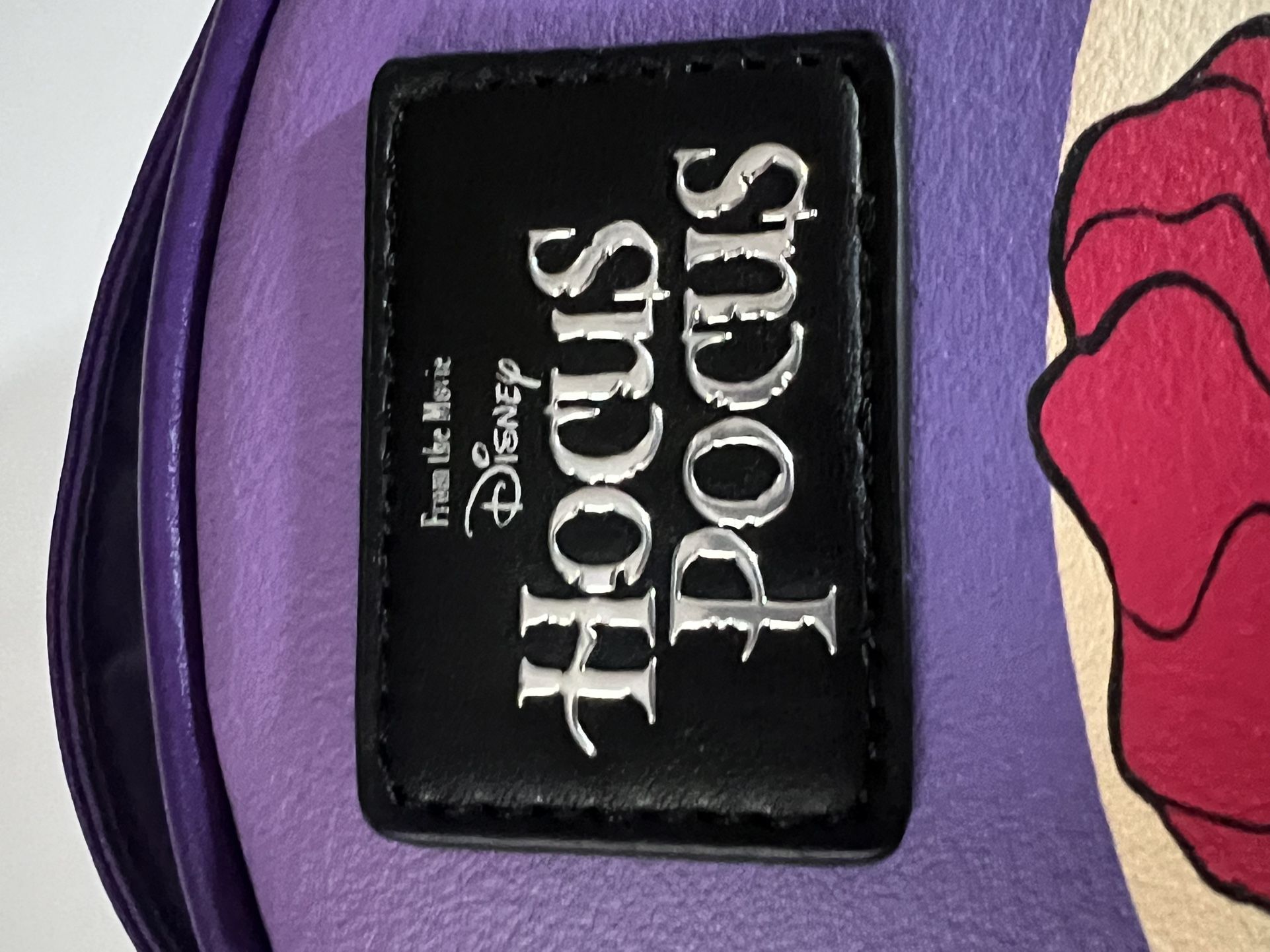 Disney Hocus Pocus Sanderson Sisters Portrait Mini Backpack With