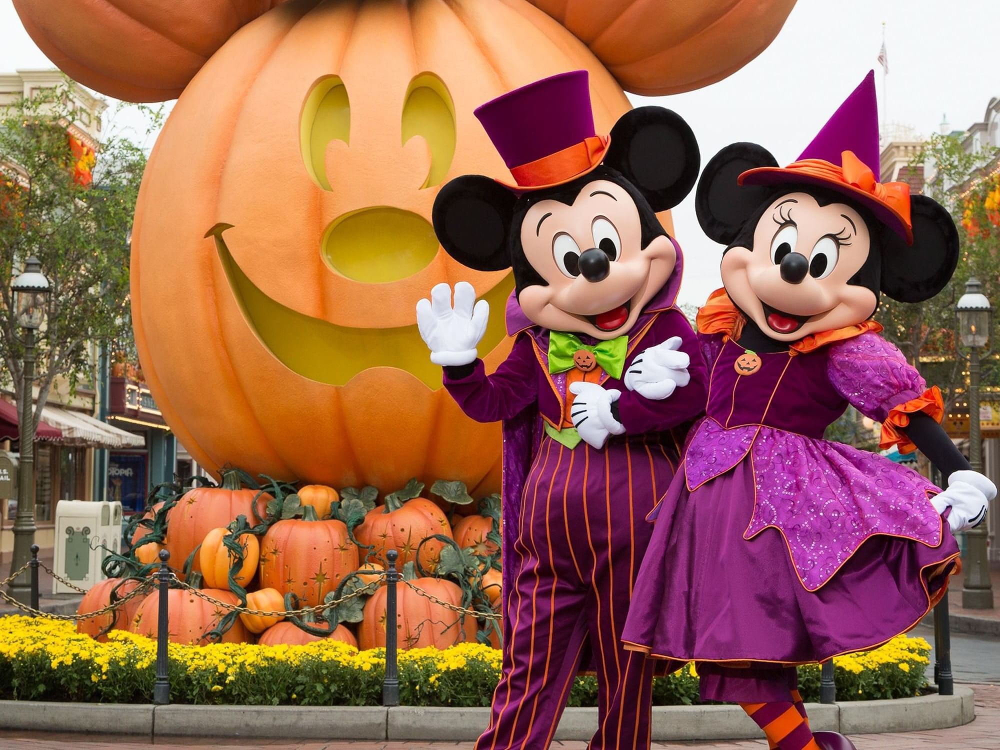 DISNEYLAND 🎃👻🎢🎡🍿🥤ONE ☝️PARK (4) TICKETS 🎟️ 🎟️🎟️🎟️ $600 PRICE FIRM 