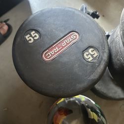55 lb Star Trac Dumbbell – Commercial Quality