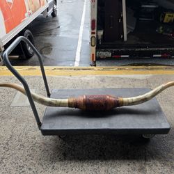 Brown Leather Mount // XL Longhorns