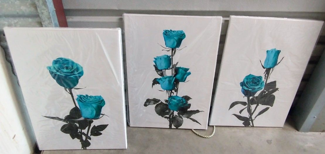 Unique 3pc Canvas Print Set. Dramatic Turquoise, Gray/Black Roses . 16"x 24" Per Section. New!