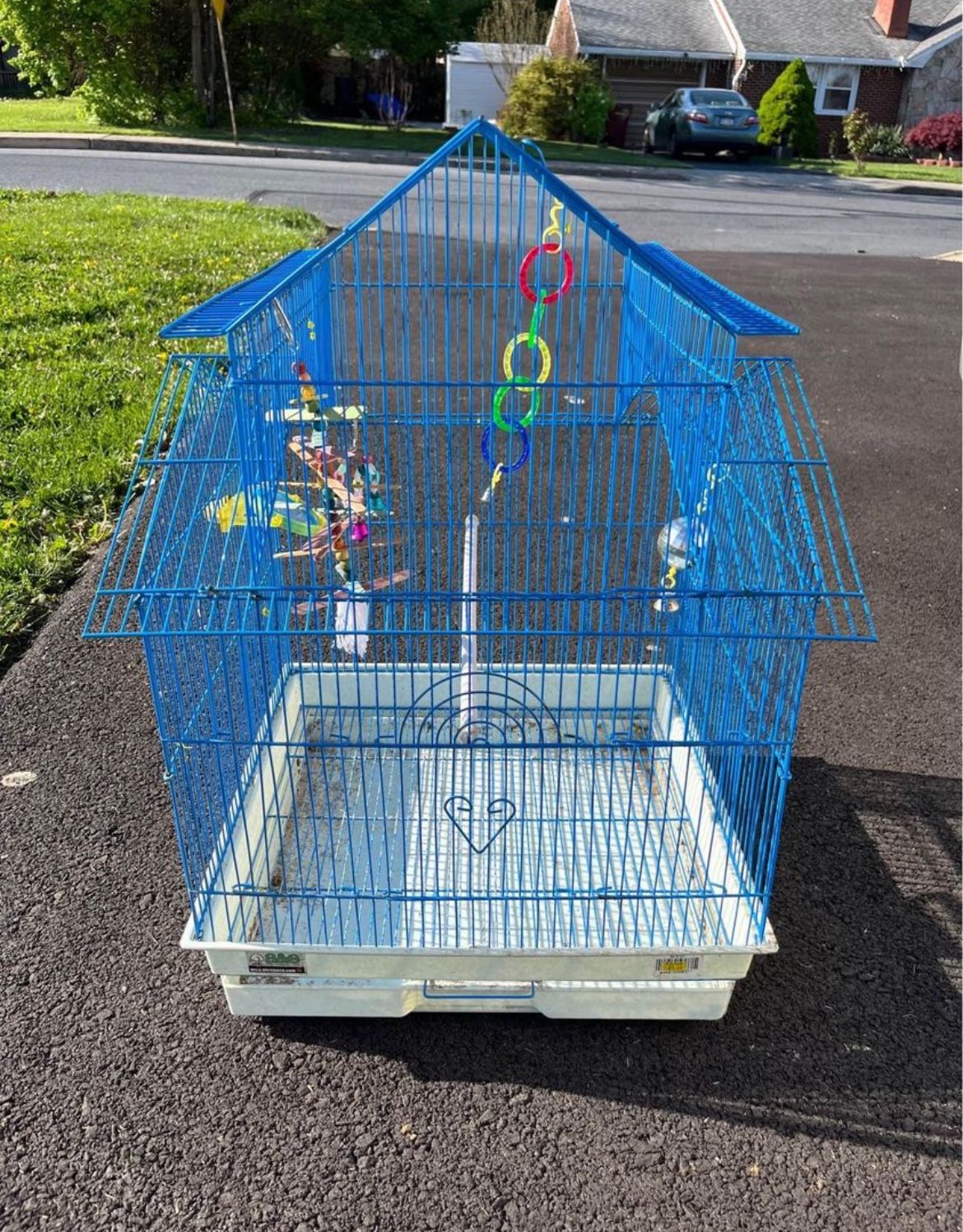 Bird Cage