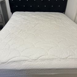 Plush Pillow Top Mattress W/ Box Spring 