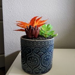 Artificial Succulents