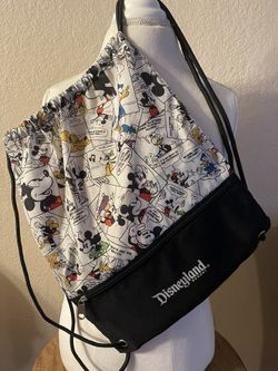 Disneyland Parks Bag