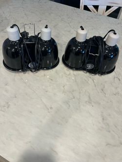 Zoo med double dome heat lamps