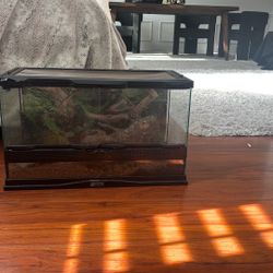 10 Gallon Lizard Cage With Decor